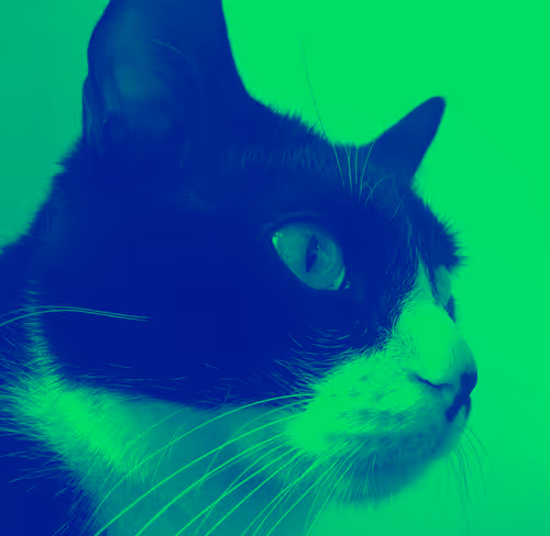 Item #62224154844929677022393842232947945299621837358898658373332336516186964492289 Media