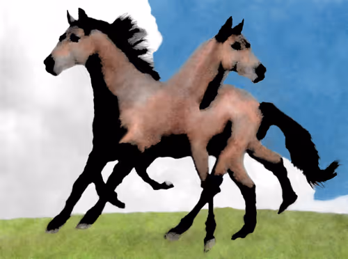 Item #34911267789015011503796970138800999124751538794071981937758550589062126764033 Media