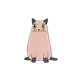 80295868564913723404284844980520130220596009118355329382896587284923753168897