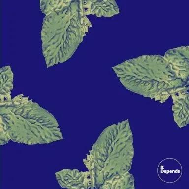 Ai Lucky Plants QGKGlimXUx