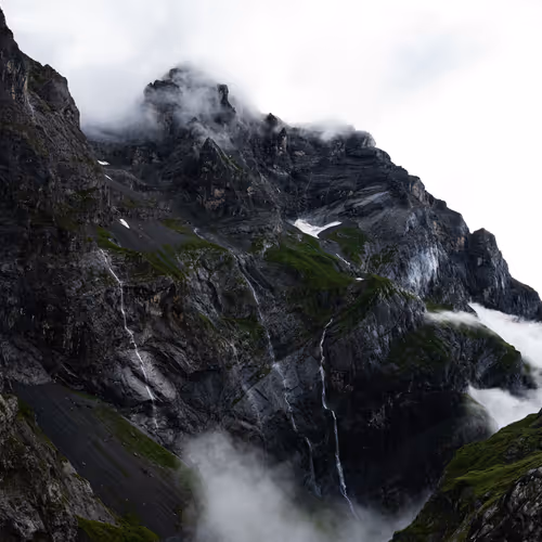 77774535820341640953648660762291540599646632537754846035696852930639781953537