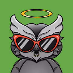 Casual OWL Collection #221