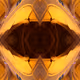 48739568146185573916490274980223466742427570504215026612113544103498218471524