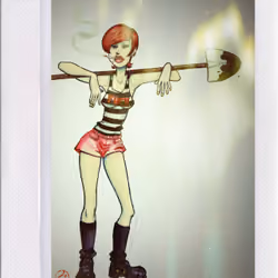 Polaroid #370