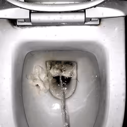 12660136923828748263426703316480839463053827608546839420335324146057667936257