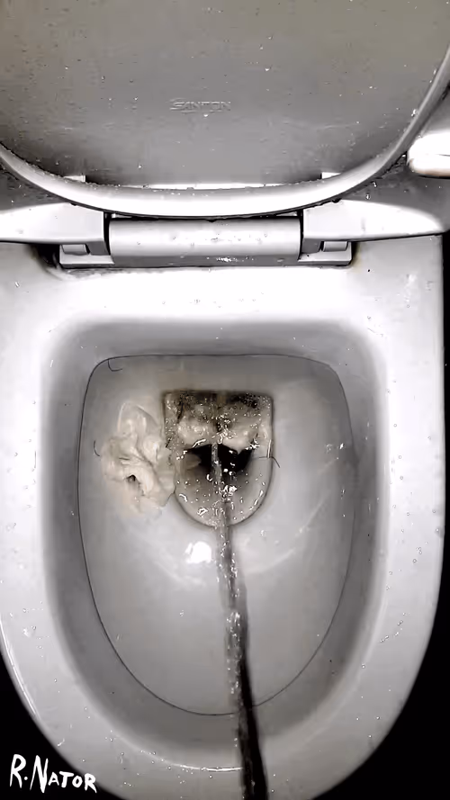 Item #12660136923828748263426703316480839463053827608546839420335324146057667936257 Media