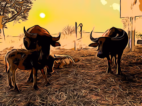 Item #81269833061274051173789884418282317830923519221172308843662164475773515202561 Media