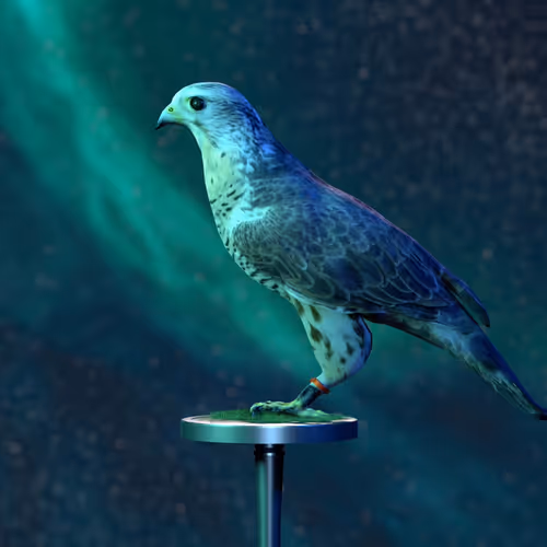 5362693153686757663037229957776630052012240176014263673100968349800201191425