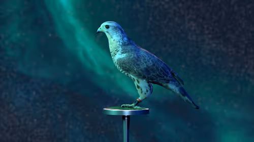 Item #5362693153686757663037229957776630052012240176014263673100968349800201191425 Media