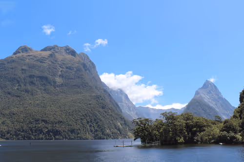 cryptogig1 Collection