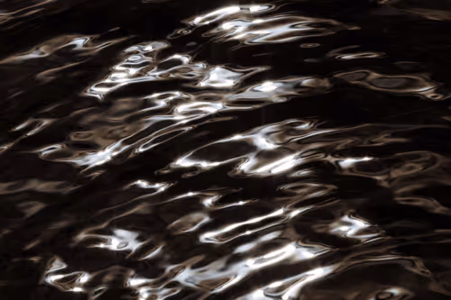 Item #81441334517361708208394031135700195474624799851237506988747108078847411617793 Media