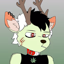 30016579514841798280272942481353484762685851957115112550778020424352278773761