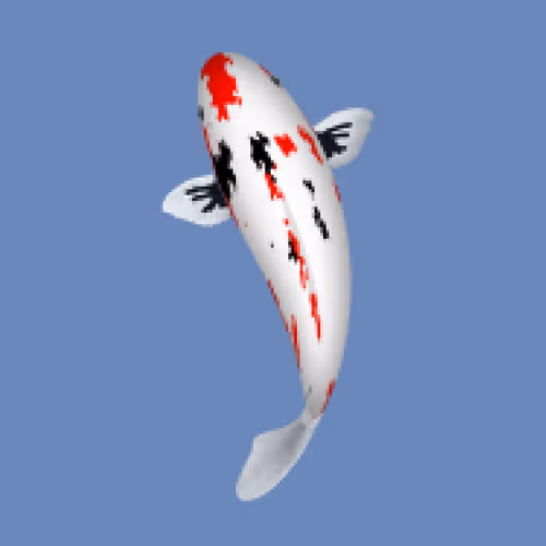 Item #85890538515849146191794191908996501016024634704301377485849137858211926245377 Media