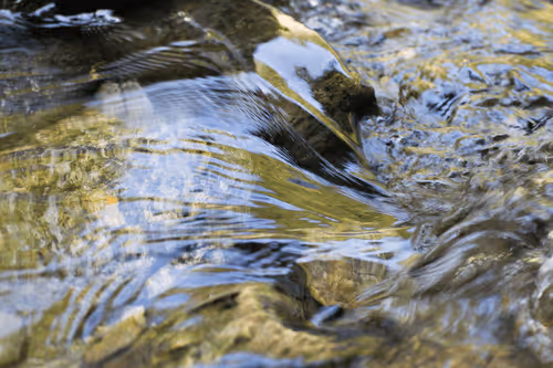 Item #20191380315558166241020242438657395646005713475192427787960701956984825446405 Media