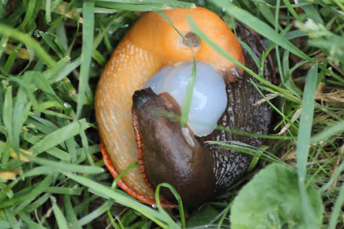 Item #51124555051901614330264480006545612592022390906904121289505624556911166750721 Media