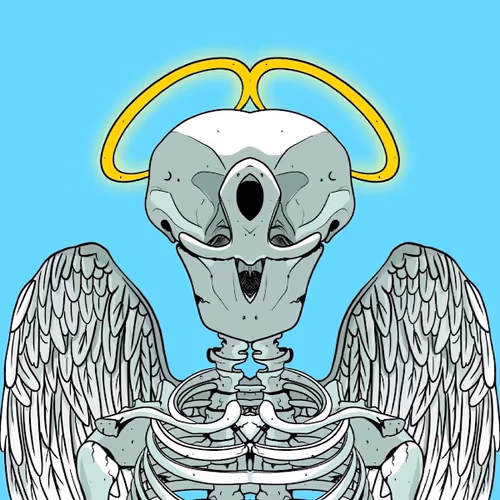 One-Eyed Skull Yacht Club