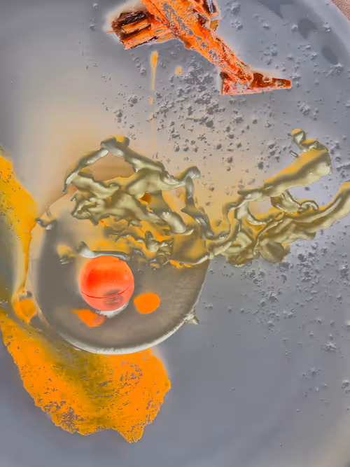 Item #64515795529198953580537894764101498903184970537215321722121713822353573543937 Media