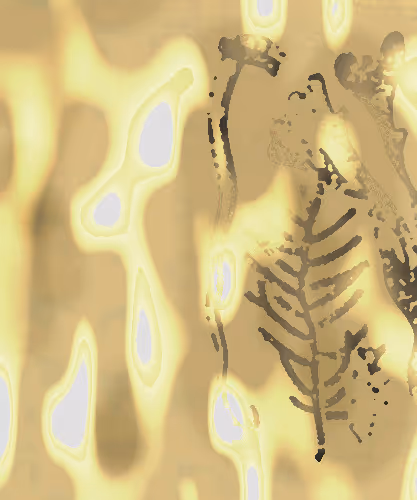 91754164606506966575596469571565985485613429950187136926502423108996458086401