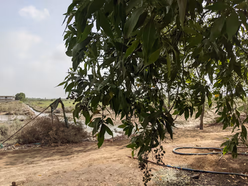 Item #68930698527264809190468656590261820993623292496804910864436067674427972648961 Media