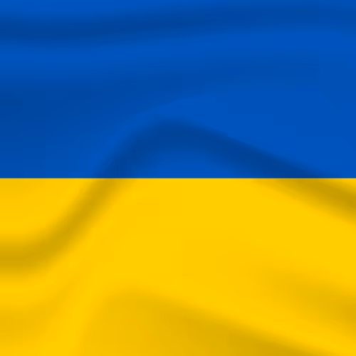 Untitled Collection #2412102985