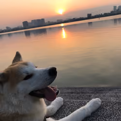 Aki loving the sun #2