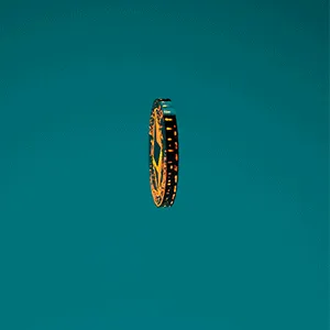 Item #15887244992943329860203279047005946227789724570324459330911374849689820069889 Media