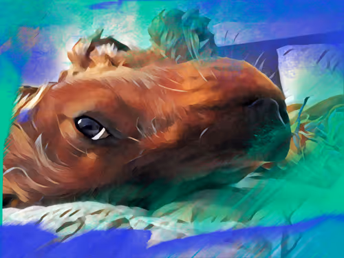 Item #11025684315241985952298237908524854018692534373662870877904489711762644402177 Media