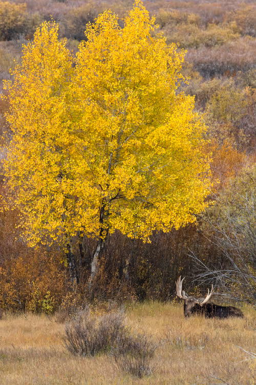 Item #19207338348144225692080396183640865546201068415206893468727031774999560060929 Media