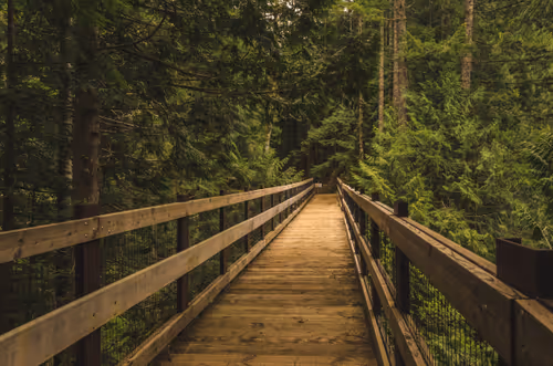 Item #76728187130834066422124200903786064407558599235583028527391947704004406935562 Media