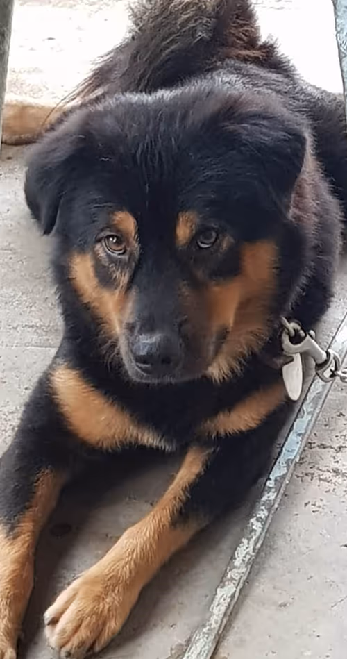 Item #56055091060271351536523847984853154360378800009370414984463609033881401950209 Media