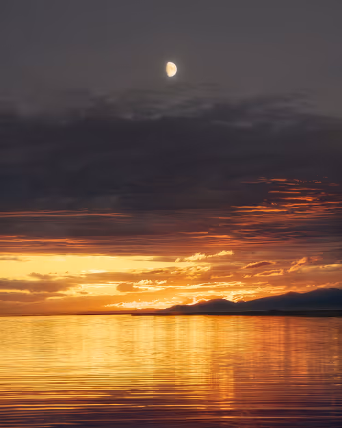 Item #18429628354057188698791897344843327250721148693952566125473226721058820718593 Media