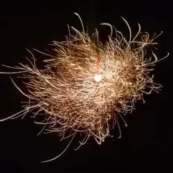 sparkler