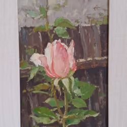 Pink rose