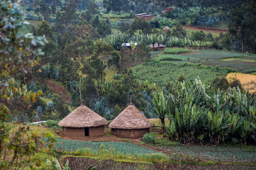 Item #50027882237522295676960542276708360859068113986169674979910834188979701547009 Media