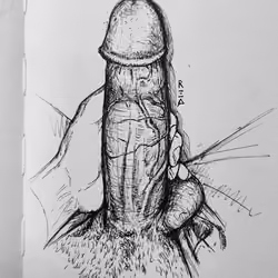 Dick #31