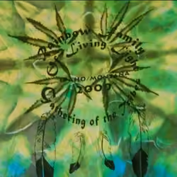 2000 Rainbow Gathering tie dye