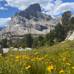 Mountain Fin
