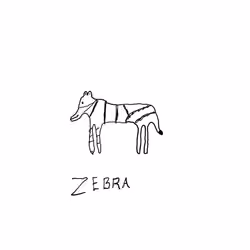 zebra