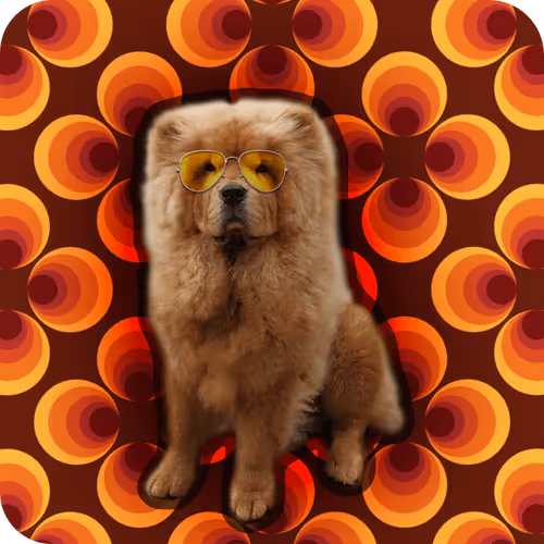 Item #18069411133127541891764540209837632150727605560921678338142275900608069238785 Media