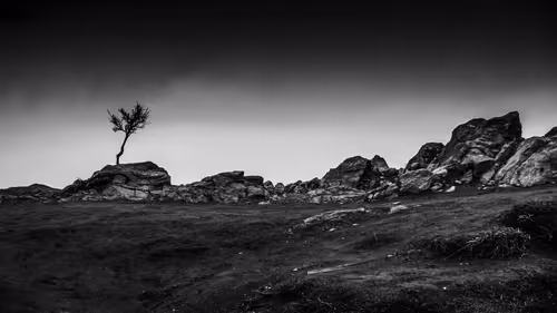 Item #58947618830561656540346244481434689864008869237453581335095038768790221357057 Media