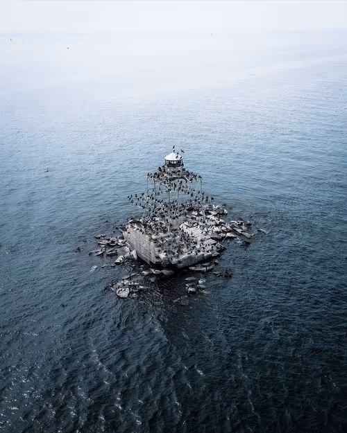 Item #100600280271040798317723628260513137156606623100883316454227272199135012323329 Media