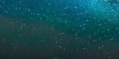 Untitled Collection #33040049