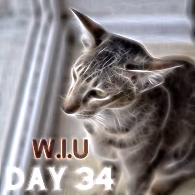 Item #39423832963151627607691891064013214374554670685362285359898062742591989874689 Media