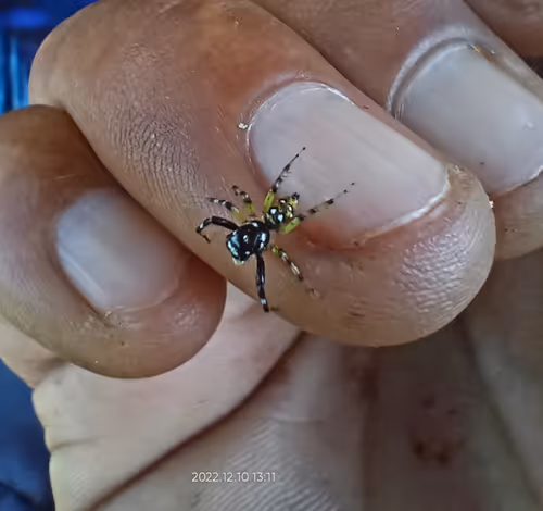 Item #97588253678271275097252661092485734826909579227738092093509096738103410819073 Media