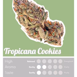 Tropicana Cookies