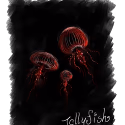 Jellyfish #2