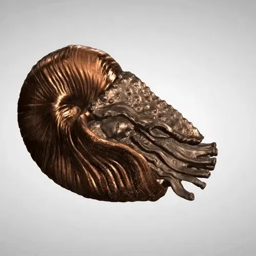 TORBH ART I