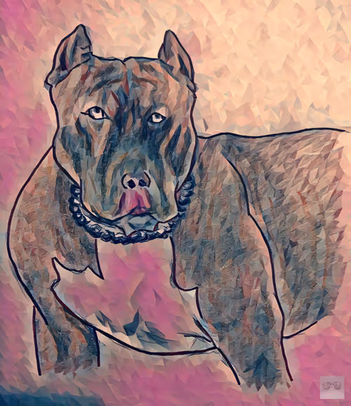 Item #73751005446205567110562479893401256064422636814134837291846161768398872117249 Media