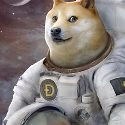 Dogecoin to the Moon, if you made Profit on DOGE, You get buy this NFT 🚀🚀🚀🚀🚀