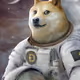 571806681358429611811767205898376402619719084949453997424773017069355532289